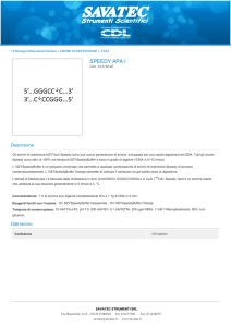 Stampa PDF