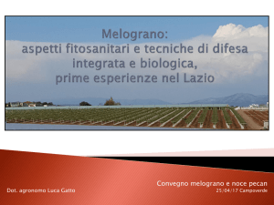 Diapositiva 1