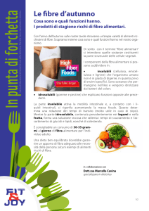 Le fibre d`autunno