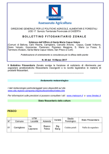 Capua - regione campania - assessorato agricoltura
