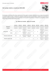 Mini pompe rotative a membrana GMS-GMD