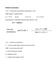 Attività enzimatica