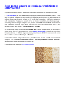 Riso meno amaro se coniuga tradizione e innovazione