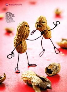 Le foto che illustrano project di Terry Border, fotografo dell`!ndiana