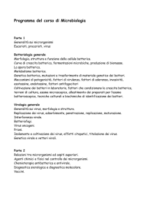 file pdf