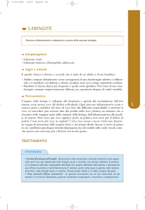 laringite l - Farmacista33