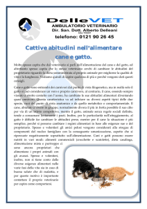 Cattive abitudini nell alimentare cane e gatto.