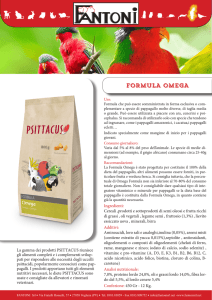 formula omega - spazioesotico