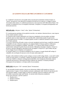 Metaplasia Displasia Neoplasia