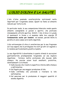 l`olio d`oliva e la salute - CIPA