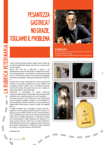 pesantezza gastrica? no grazie, togliamo il problema