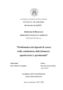 "Problematica dei depositi di cenere nella combustione delle