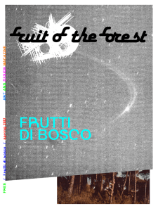 frutti_di_bosco_02