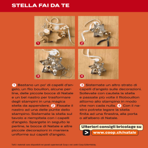 stella fai da te