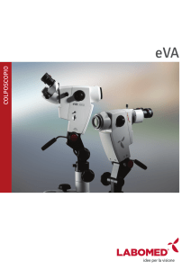 eVA - Italian - Labo America, Inc.