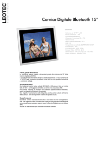 Cornice Digitale Bluetooth 15