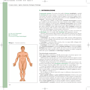 terminologia anatomica