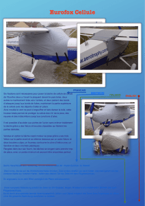Eurofox Cellule