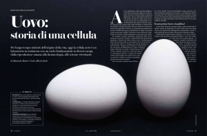 storia di una cellula
