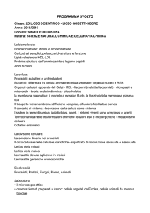 Scienze