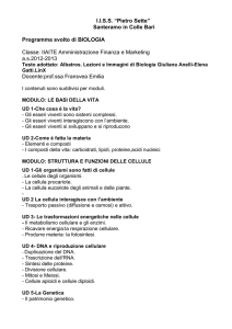 liceo scientifico convitto d