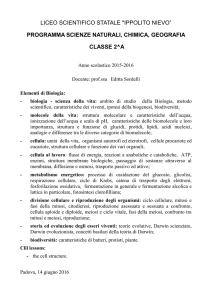 istituto professionale per l`industria e l`artigianato "e