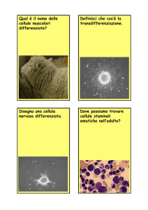 Domanda 3