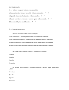 Verifica sommativa Es. 1_ Indica se le seguenti frasi sono vere