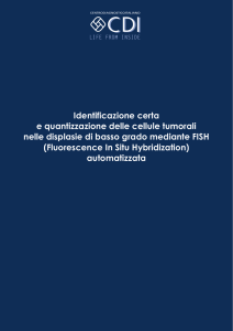 Identificazione certa e quantizzazione delle cellule - Fish