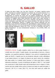 Il gallio - test.unicam