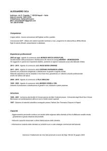 Curriculum vitae SICA