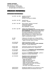 Curriculum in stile professionale