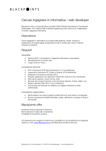 Cercasi ingegnere in informatica / web developer