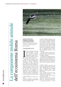 La componente mobile animale dell`ecosistema Roma