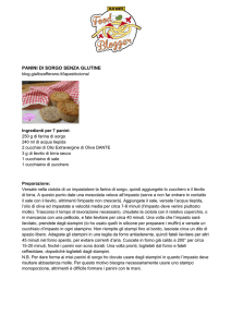 PANINI DI SORGO SENZA GLUTINE
