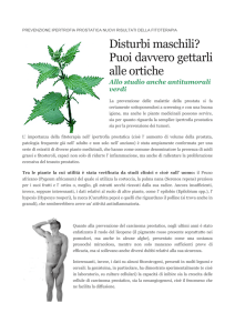 Disturbi maschili? Puoi davvero gettarli alle ortiche