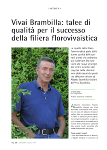 Vivai Brambilla: talee di qualità per il successo della filiera