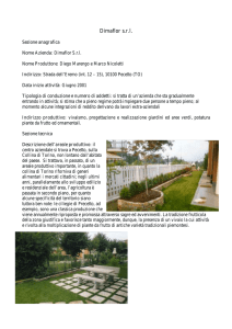 Dimaflor srl