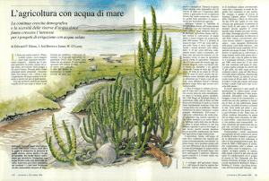 L` agricoltura con acqua di mare