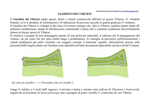 Guida virtuale - Comune di Zignago