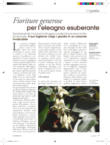 Nel giardino - Agricoltura e pesca