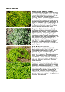 Area 5 - Le Erbe - Villa Ottolenghi