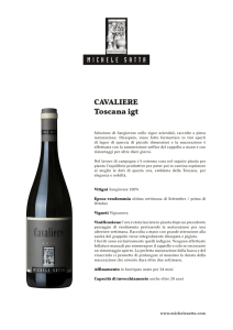CAVALIERE Toscana igt