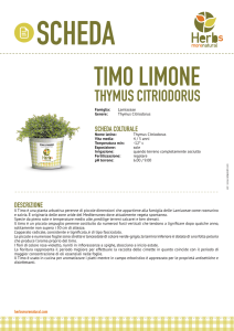 herbs schede A4 1015 copia