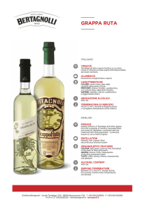 grappa ruta - Bertagnolli