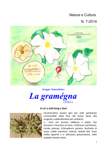 La gramégna - ENDAS Cesena
