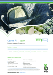 Cerox F1 NOVITA`