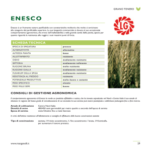 enesco - Manganelli