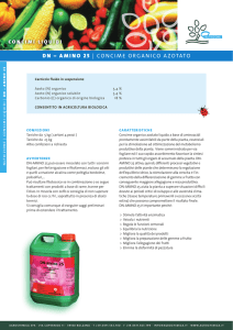 dn – amino 25 - Agrochimica SpA