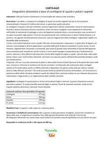 CARTILAGO Integratore alimentare a base di cartilagine di squalo e